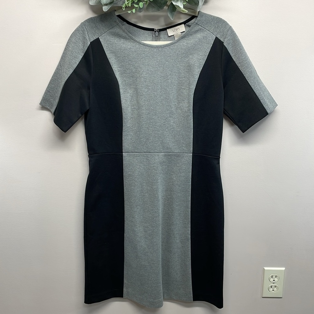 NWT Ann Taylor Loft Gray Black Color Block Short Sleeve Stretch Knit Dress 6
